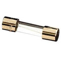 Replacement Fuse - Traeger, Pit BOSS, Camp Chef